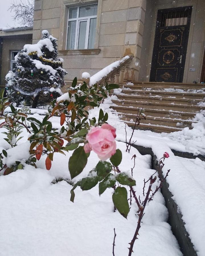 Allseasons Hotel Gabala Exterior photo